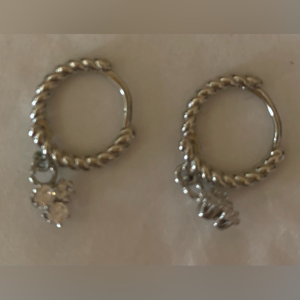 Huggie earrings